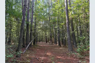33.5 Acres-Tbd Union Church Rd., Salters, SC 29590 - Photo 1