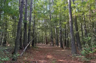 33 5 Acres-Tbd Union Church Rd, Salters, SC 29590 - Photo 1