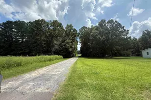 Tbd Morrisville Rd, Andrews, SC 29510 - Photo 1