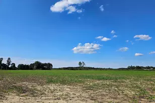 332 S Old Georgetown Rd, Lake City, SC 29560 - Photo 1