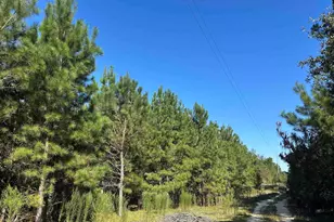 Tbd Oakland Rd, Hamer, SC 29547 - Photo 1