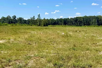 Albatross Rd, Georgetown, SC 29440 - Photo 1