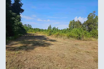 109 Acres - Tbd Trifalia Rd., Scranton, SC 29591 - Photo 1