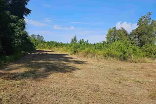 109 Acres - Tbd Trifalia Rd, Scranton, SC 29591 - Photo 1