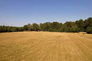 28+/- Acres-Tbd Frank Cribb Rd, Georgetown, SC 29440 - Photo 1
