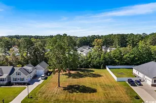 116 Pottery Landing Dr, Conway, SC 29527 - Photo 1