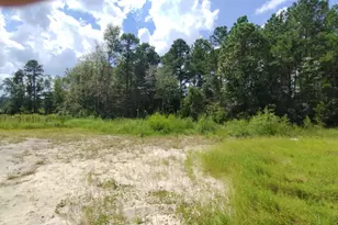 2950 Hugo Rd, Conway, SC 29526 - Photo 1