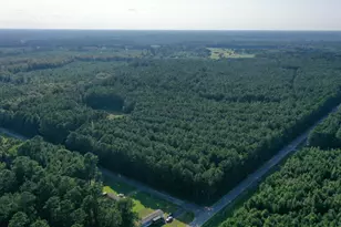 Powell Loop, Andrews, SC 29510 - Photo 1