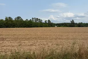 1776 Mack Rd, Conway, SC 29526 - Photo 1