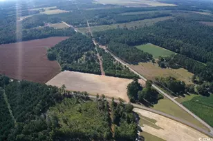 1 Tbd Dew Rd Dew Rd, Marion, SC 29571 - Photo 1