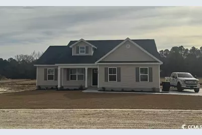 338 William Nobles Rd., Aynor, SC 29511 - Photo 1