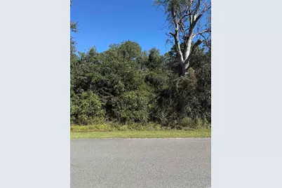 Tbd Plum Tree Ln., Conway, SC 29526 - Photo 1