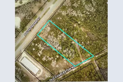 Tbd Old Charleston Rd., Georgetown, SC 29440 - Photo 1