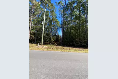 2115 Chavis Rd., Conway, SC 29526 - Photo 1