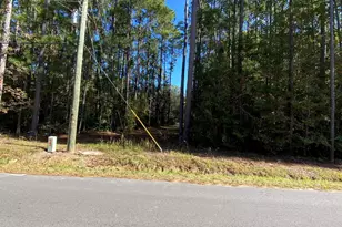 2115 Chavis Rd, Conway, SC 29526 - Photo 1