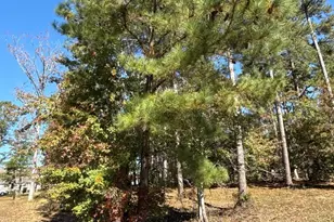 2405 Gist Ln, Myrtle Beach, SC 29588 - Photo 1