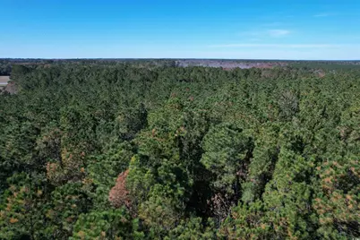 7.90 Acres-Tbd Puncheon Creek Dr., Andrews, SC 29510 - Photo 1