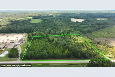 0 Highway 521, Greeleyville, SC 29056 - Photo 1