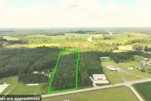 0 Hwy 521, Greeleyville, SC 29056 - Photo 1