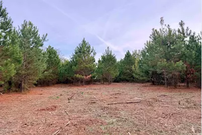 Lot 2 - Tbd New Pine Rd., Johnsonville, SC 29555 - Photo 1