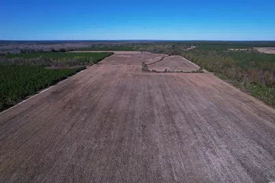 53.86 Acres-Tbd Pate Rd, Bishopville, SC 29010 - Photo 1