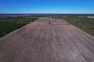 53 86 Acres-Tbd Pate Rd, Bishopville, SC 29010 - Photo 1