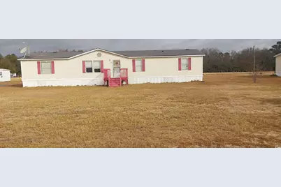 322 Nestle Down Dr, Sellers, SC 29592 - Photo 1