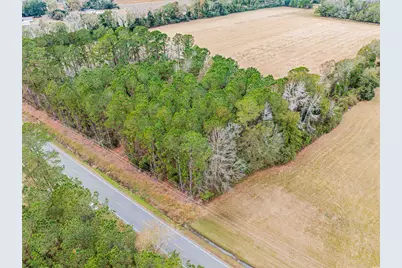 Tbd Vox Hwy., Johnsonville, SC 29555 - Photo 1