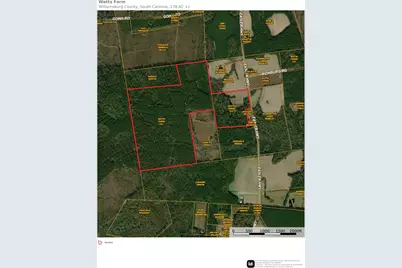 Easler Hwy, Greeleyville, SC 29056 - Photo 1