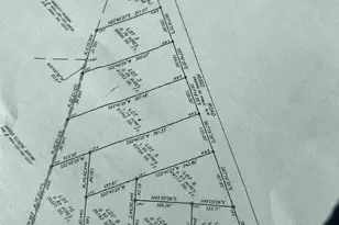 5320 Pauley Swamp Rd, Conway, SC 29527 - Photo 1