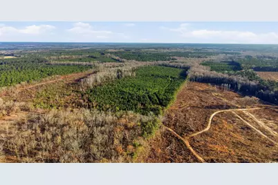 Tbd Highway 34, Bishopville, SC 29010 - Photo 1