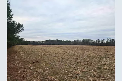 Tbd 38Ac Cart Rd., Pamplico, SC 29583 - Photo 1