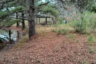 2701 Wise Rd, Conway, SC 29526 - Photo 1