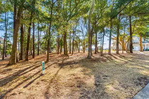 5102 Bucks Bluff Dr, North Myrtle Beach, SC 29582 - Photo 1