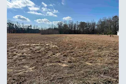 811 Sheila Dr., Johnsonville, SC 29555 - Photo 1
