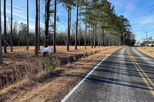 4335 Watermill Rd, Mullins, SC 29574 - Photo 1