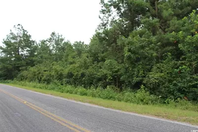 Tbd 4B Hulls Island Rd., Loris, SC 29569 - Photo 1