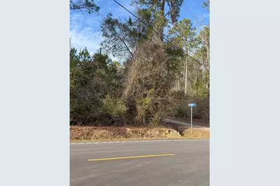 Tbd Bucksville Dr., Conway, SC 29527 - Photo 1