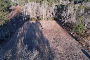 Tbd Samuels Ave, Salters, SC 29590 - Photo 1