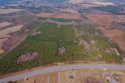 106.6 Acres-Tbd Highway 52, Salters, SC 29590 - Photo 1