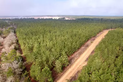 25.93Acres-4567 Dunham Rd, Bethune, SC 29009 - Photo 1