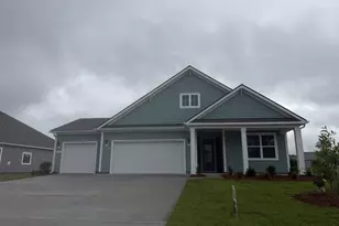 3045 Berry Bush Way, Conway, SC 29526 - Photo 1