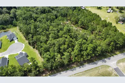 Tbd Highway 905, Conway, SC 29526 - Photo 1