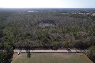 Tbd I M Graham Rd, Kingstree, SC 29556 - Photo 1