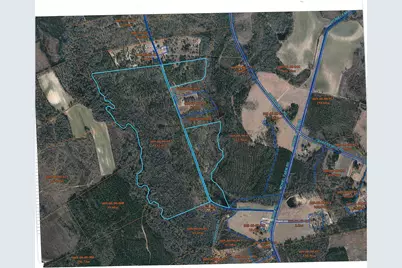 Tbd Dan Dr, Hamer, SC 29547 - Photo 1