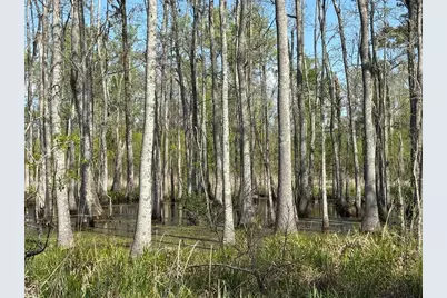Rocky Ford Rd., Salters, SC 29590 - Photo 1