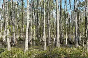 Rocky Ford Rd, Salters, SC 29590 - Photo 1