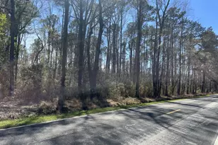 Salem Rd, Bennettsville, SC 29512 - Photo 1