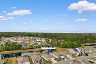 179 Pine Forest Dr, Conway, SC 29526 - Photo 1