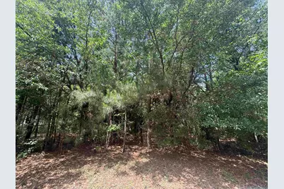 Lot 1 Brantly Rd., Andrews, SC 29510 - Photo 1